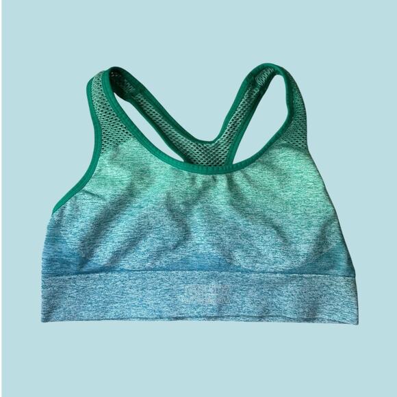 PINK Active Sports Bra Racerback Ombré Green Mesh Large - Picture 1 of 7